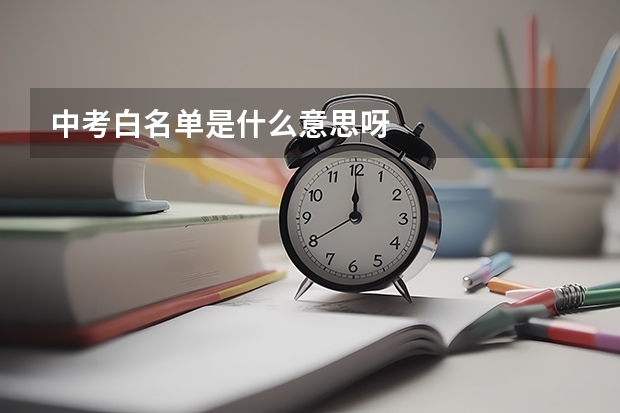 中考白名单是什么意思呀