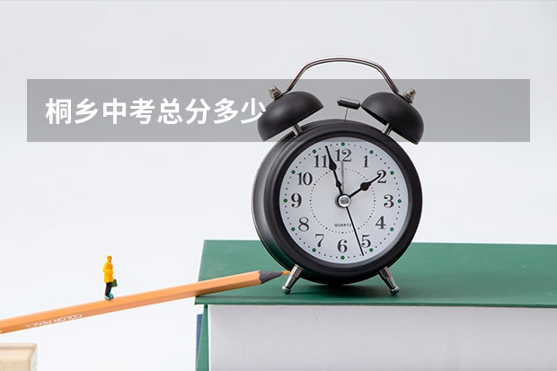 桐乡中考总分多少