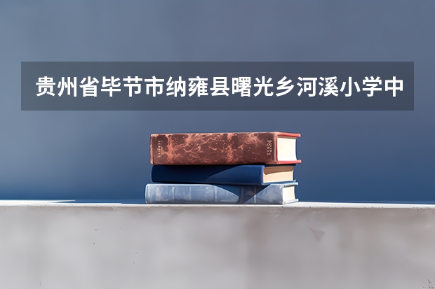 贵州省毕节市纳雍县曙光乡河溪小学中考成绩（纳雍2023年中考分数线）