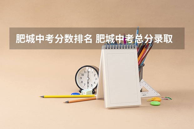 肥城中考分数排名 肥城中考总分录取分数线