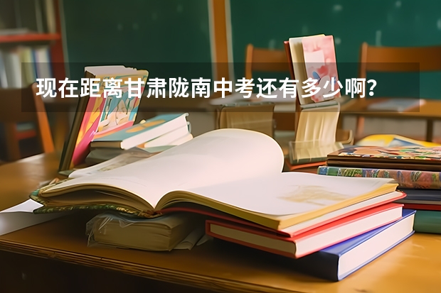 现在距离甘肃陇南中考还有多少啊？