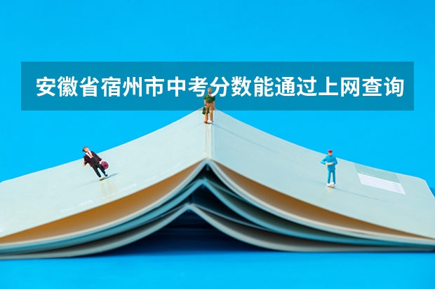 安徽省宿州市中考分数能通过上网查询吗
