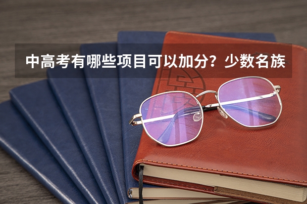 中高考有哪些项目可以加分？少数名族可以加多少分？钢琴十级能积分吗？（安徽合肥~~）