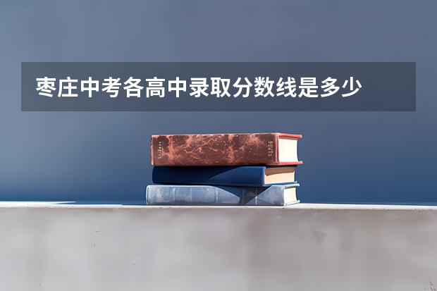 枣庄中考各高中录取分数线是多少