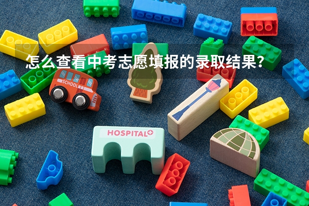 怎么查看中考志愿填报的录取结果？