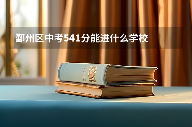 鄞州区中考541分能进什么学校