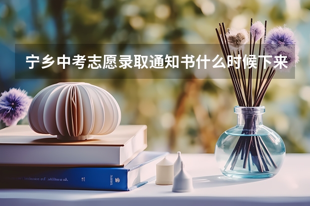 宁乡中考志愿录取通知书什么时候下来