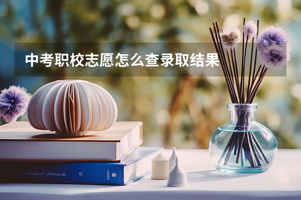 中考职校志愿怎么查录取结果