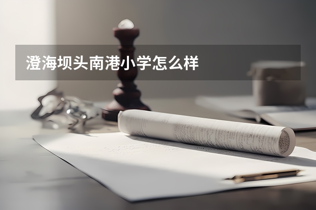 澄海坝头南港小学怎么样
