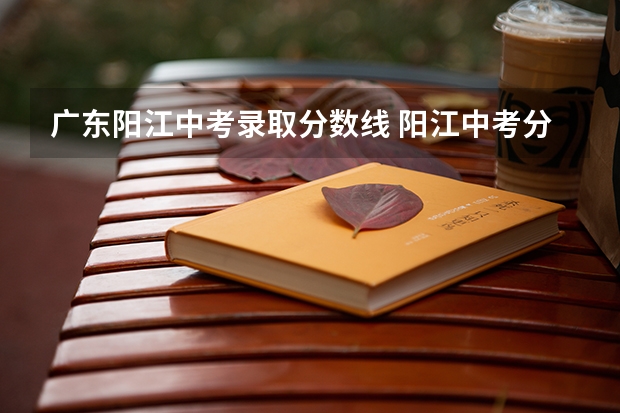 广东阳江中考录取分数线 阳江中考分数段
