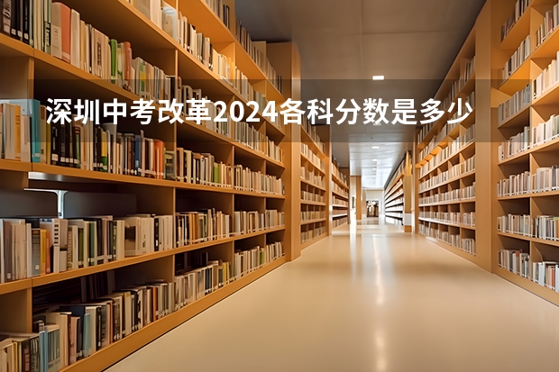 深圳中考改革2024各科分数是多少