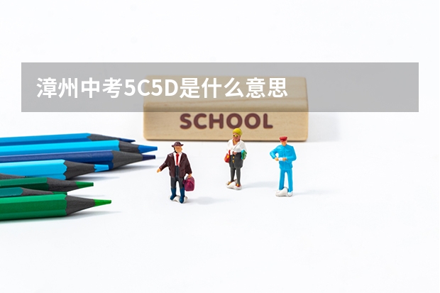 漳州中考5C5D是什么意思