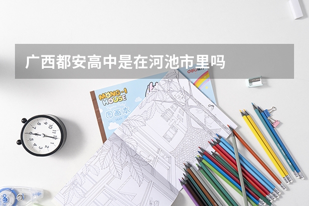 广西都安高中是在河池市里吗
