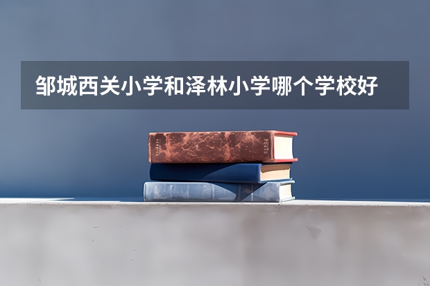 邹城西关小学和泽林小学哪个学校好