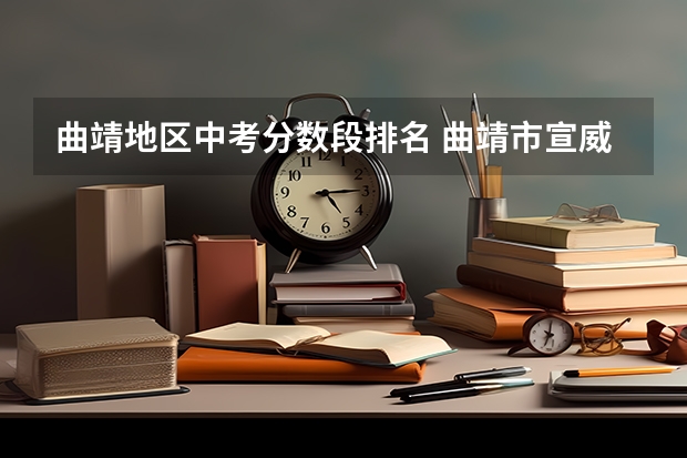 曲靖地区中考分数段排名 曲靖市宣威市2023中考分数
