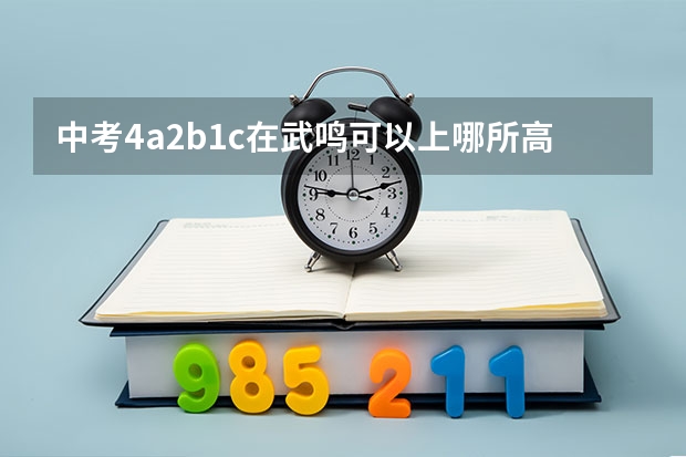 中考4a2b1c在武鸣可以上哪所高中 广西武鸣中学中考分数线