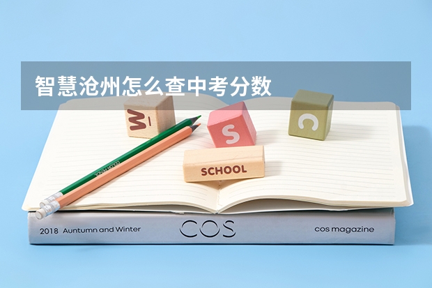智慧沧州怎么查中考分数
