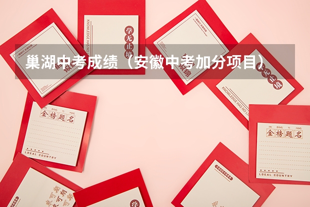 巢湖中考成绩(安徽中考加分项目)