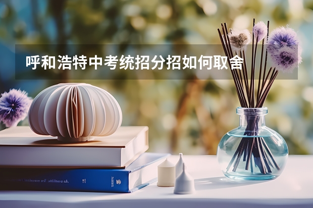 呼和浩特中考统招分招如何取舍