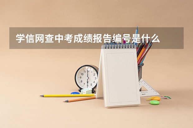 学信网查中考成绩报告编号是什么