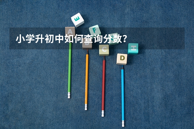小学升初中如何查询分数?