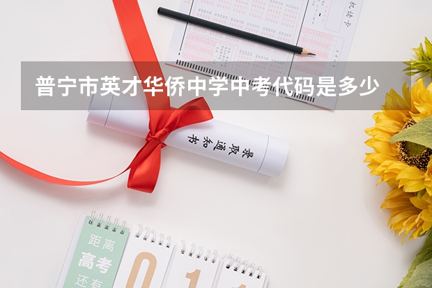 普宁市英才华侨中学中考代码是多少