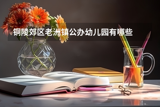 铜陵郊区老洲镇公办幼儿园有哪些