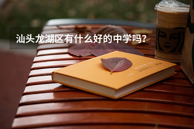 汕头龙湖区有什么好的中学吗？