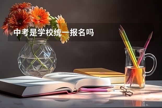 中考是学校统一报名吗