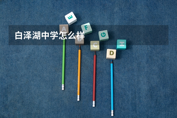 白泽湖中学怎么样