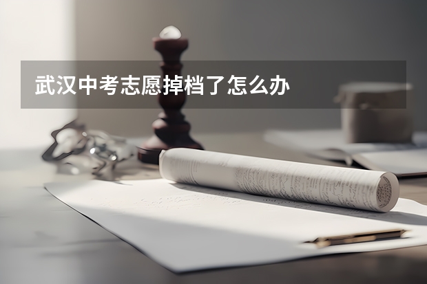 武汉中考志愿掉档了怎么办