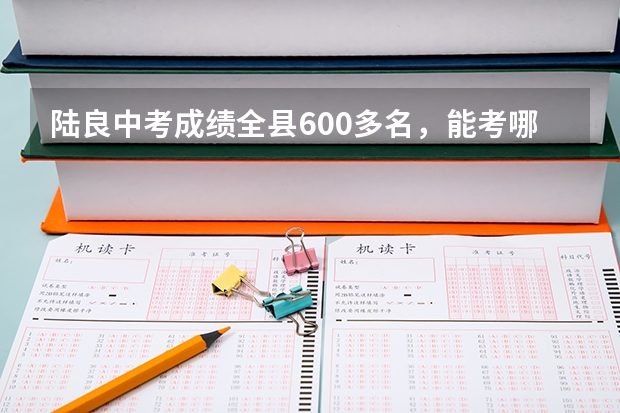 陆良中考成绩全县600多名，能考哪里