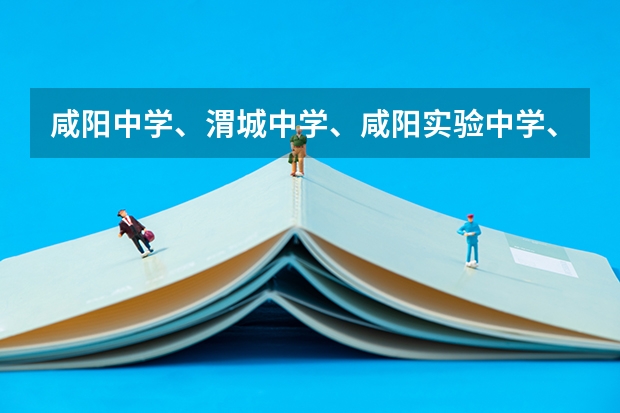 咸阳中学、渭城中学、咸阳实验中学、彩虹中学哪个好