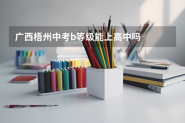 广西梧州中考b等级能上高中吗