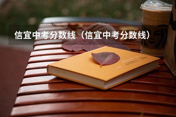 信宜中考分数线（信宜中考分数线）