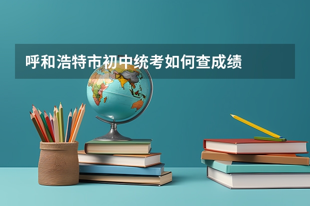 呼和浩特市初中统考如何查成绩