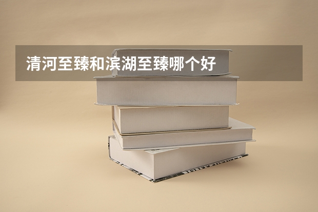 清河至臻和滨湖至臻哪个好