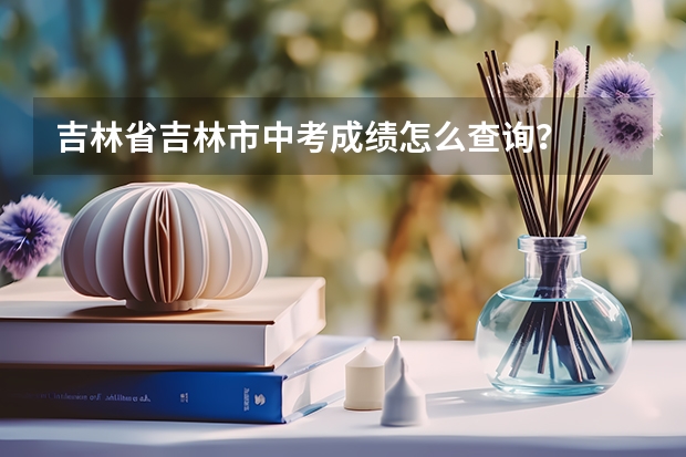 吉林省吉林市中考成绩怎么查询？