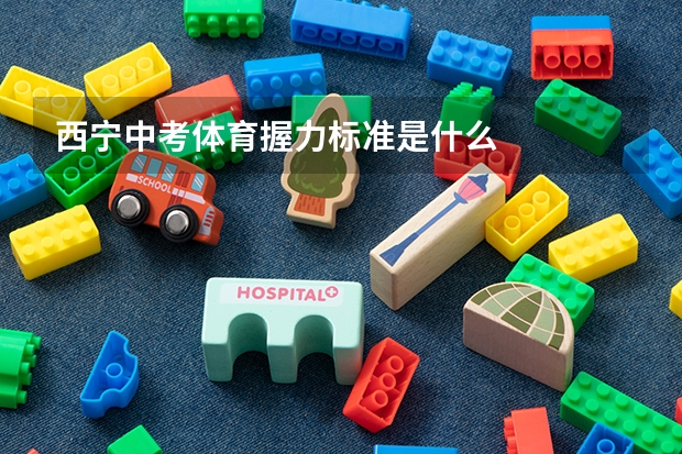 西宁中考体育握力标准是什么