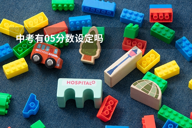 中考有05分数设定吗