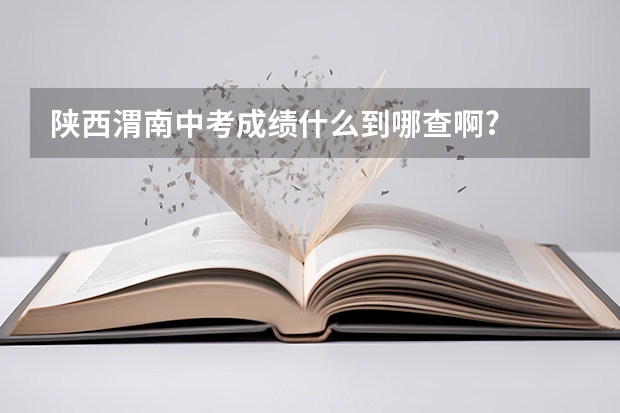 陕西渭南中考成绩什么到哪查啊?