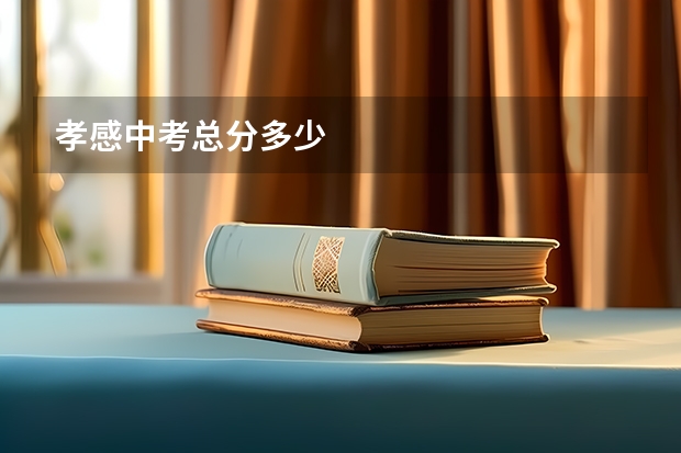 孝感中考总分多少