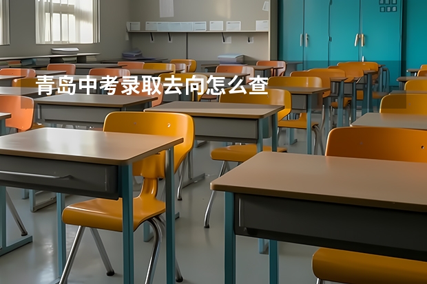 青岛中考录取去向怎么查