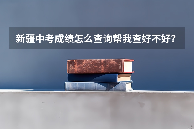 新疆中考成绩怎么查询帮我查好不好？