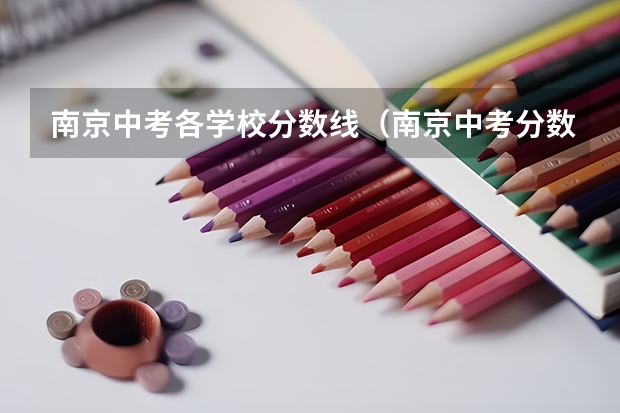 南京中考各学校分数线（南京中考分数段公布）