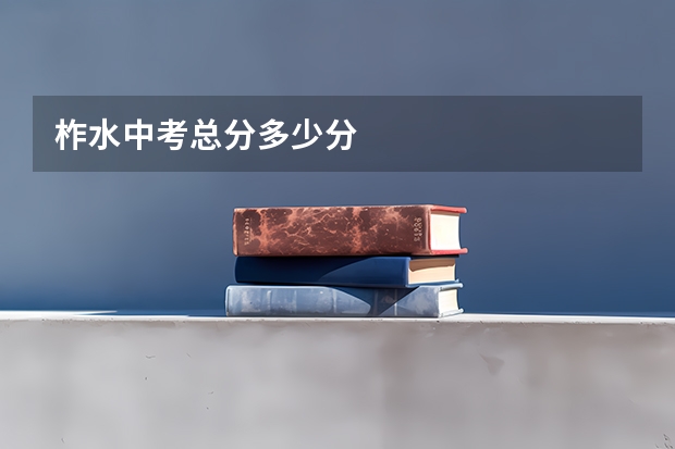 柞水中考总分多少分