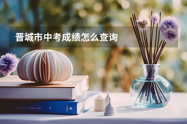晋城市中考成绩怎么查询