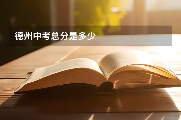 德州中考总分是多少