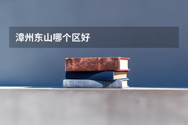 漳州东山哪个区好