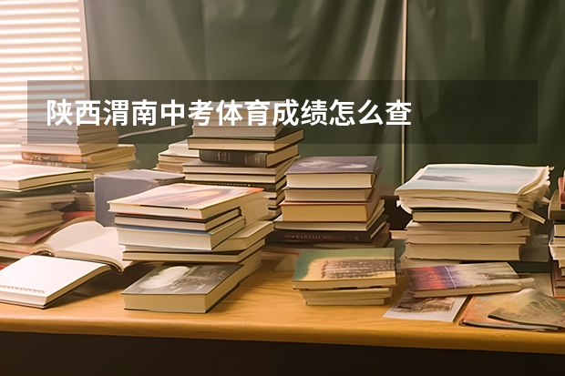 陕西渭南中考体育成绩怎么查